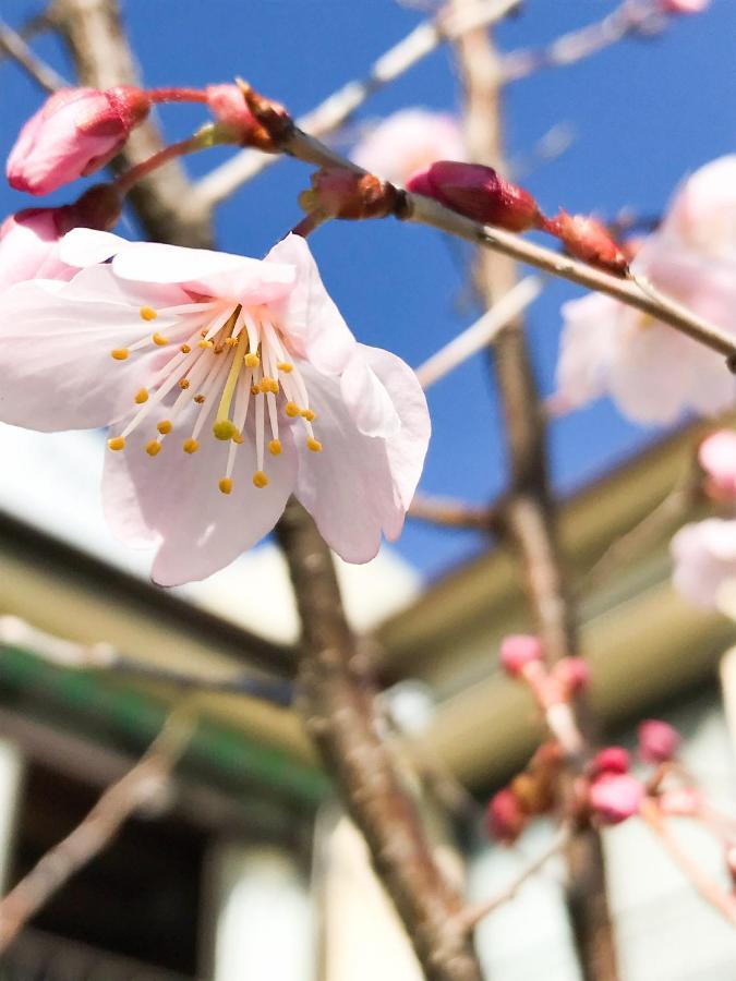 Guesthouse Nishihara Atami  Ngoại thất bức ảnh